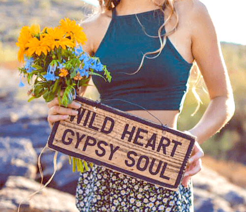 wildheartgypsysoul.png